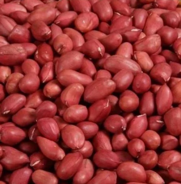 Peanut farm