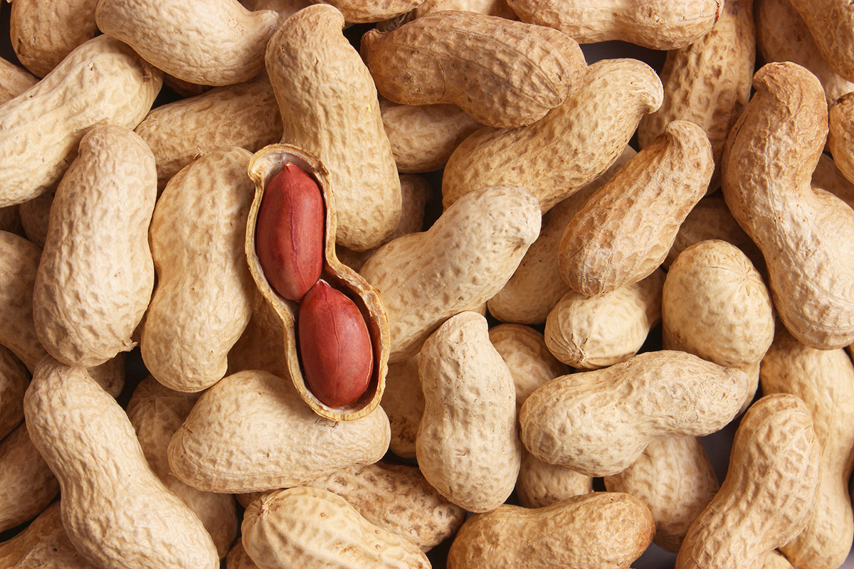Premium Peanuts - Lucky Enterprise